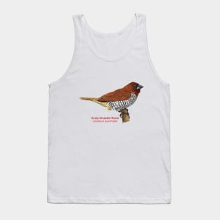 Scaly-breasted Munia | Lonchura punctulata Tank Top